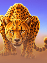 Cheetah Wild-bg
