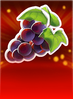 Fruit Collector-bg