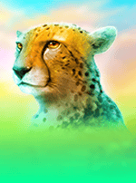 Raging Rhino Ultra-bg