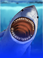 Hungry Shark-bg