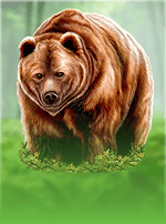 Great Bear-bg
