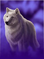 Wolf Run-bg