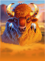Book of buffalo-bg