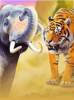 Elephants vs Tigers-bg