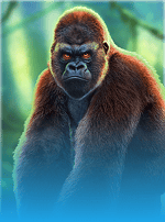 Epic Ape-bg