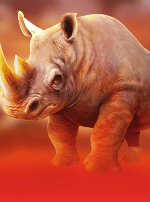 Raging Rhino Double Danger-bg