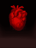 Death Becomes You™-bg