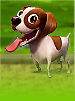Pets-bg