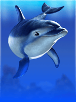 Dolphins Pearl Deluxe-bg