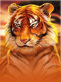 Wild Cats Multiline