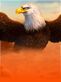 Eagle Riches