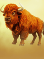 Buffalo King