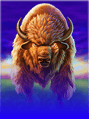 Buffalo Blitz II