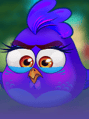 Crazy Chickens