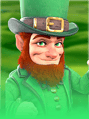 Book of the Irish