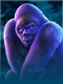 Wild Ape
