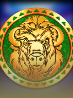 Coin Trio Buffalo