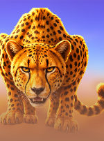 Cheetah Wild