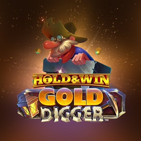 Gold Digger, Board Game