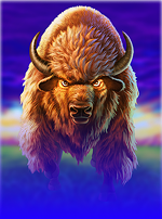 Buffalo Blitz II