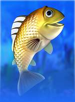 Catch of the Day