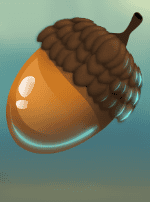 Forest Fortune