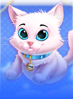 Kitty Payout