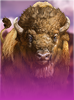 Big Bad Bison