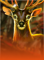 Queen Of The Forest - Autumn Kingdom