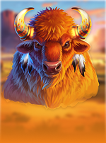 Book of buffalo