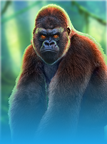 Epic Ape