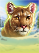 Majestic Wild Buffalo - Winter Wonderland