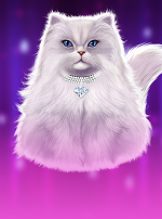 Kitty Glitter Grand