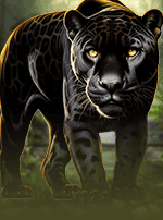 Jaguar Gems Pot